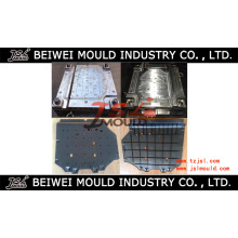 Auto Engine Cover Mould (mould-b002)